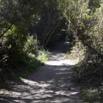 cambria_257 (November 03, 2018)